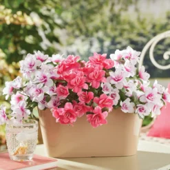 Balkon-Kunstblumen "Azaleen" Gainsborough 3er-Set