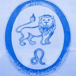 Bettwäsche "Löwe" hellblau, 2-tlg.