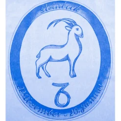 Bettwäsche "Steinbock" hellblau, 2-tlg.