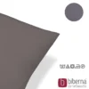 biberna Feinjersey-Kopfkissenbezug Doppelpack silber/grau, 2x 40x80 cm