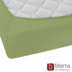 biberna Feinjersey-Spannbetttuch fichte, 1x 180x200 cm - 200x200 cm
