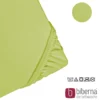 biberna Feinjersey-Spannbetttuch apfelgrün, 1x 180x200 cm - 200x200 cm