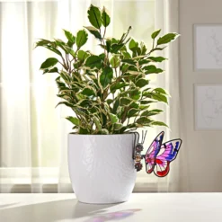 Blumentopfhänger Schmetterling Eldo