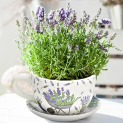 Blumentopf Pflanztasse "Lavendel" aus Keramik mittel