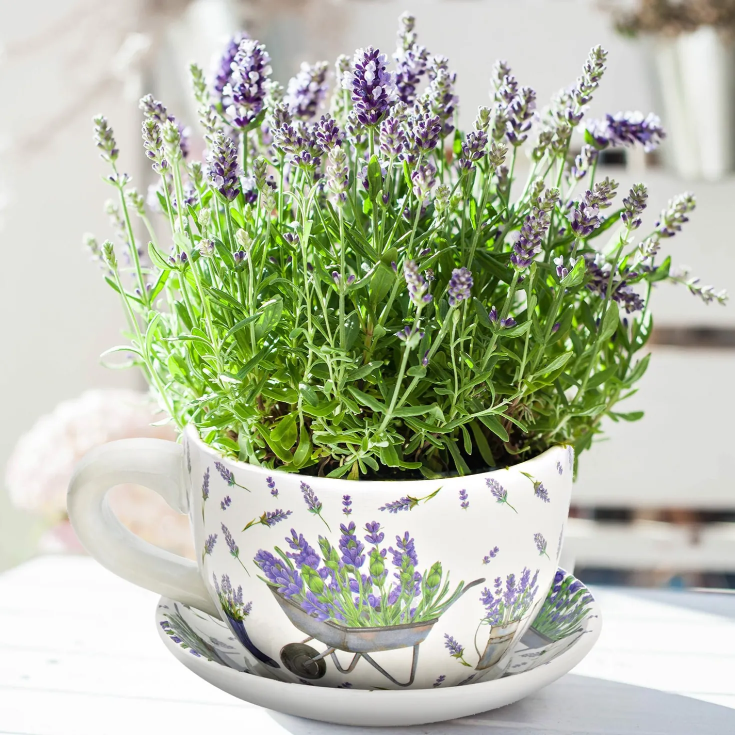 Blumentopf Pflanztasse "Lavendel" aus Keramik mittel