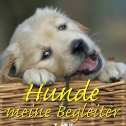 Buch "Hunde meine Begleiter"