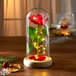 Ewige Rose im Glas mit Licht Eldo