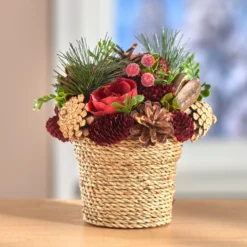 Herbstgesteck Tanne mit Beeren und Zapfen in Topf Eldo