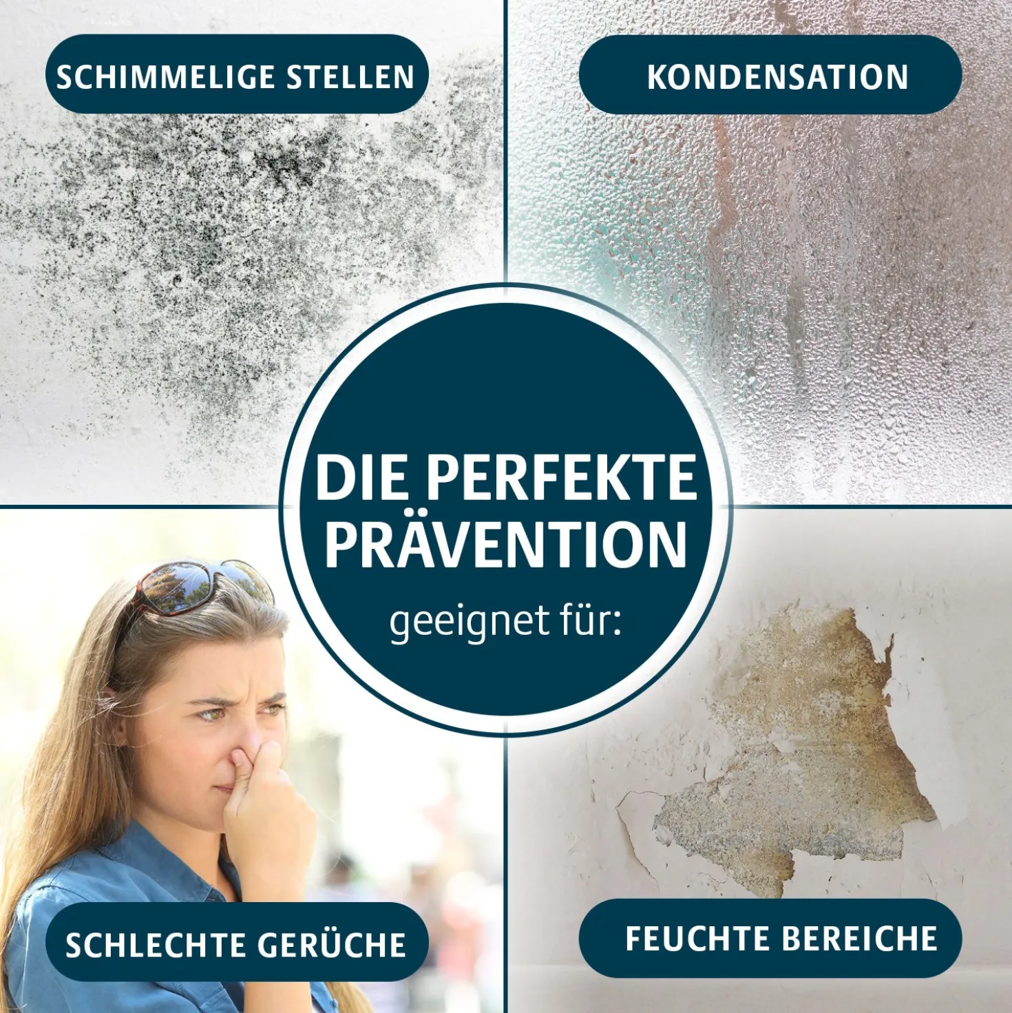 Kabelloser Mini-Luftentfeuchter Clarsen – USB-aufladbar & kompakt