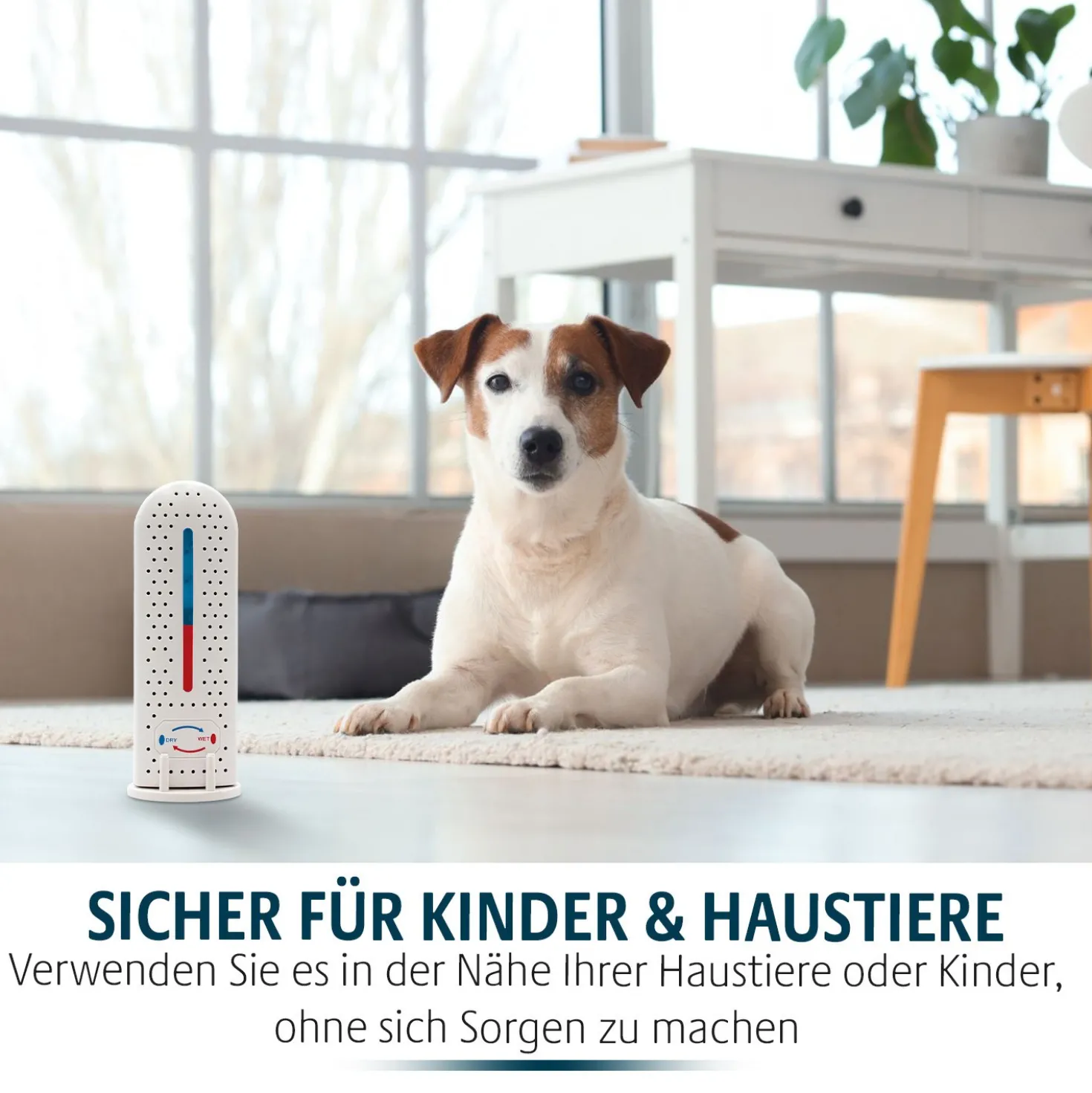 Kabelloser Mini-Luftentfeuchter Clarsen – USB-aufladbar & kompakt
