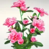 Kunstblume Azaleen-Strauß