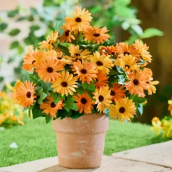 Kunstblumenstrauß Kap-Margeriten