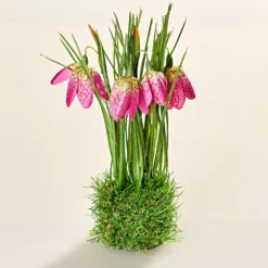 Kunstblume Schneeglöckchen-Nest pink Eldo