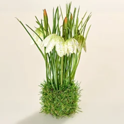 Kunstblume Schneeglöckchen-Nest weiß Eldo