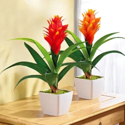 Kunstpflanze Guzmania im Topf, bordeaux