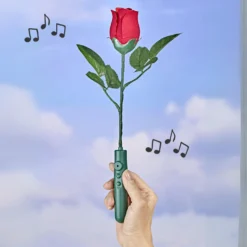 Kunststoffrose spielt "Happy Birthday" & eigene Aufnahmen