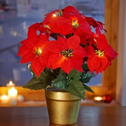 LED-Christstern im Topf