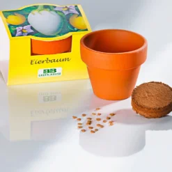 Pflanzset "Eierbaum"