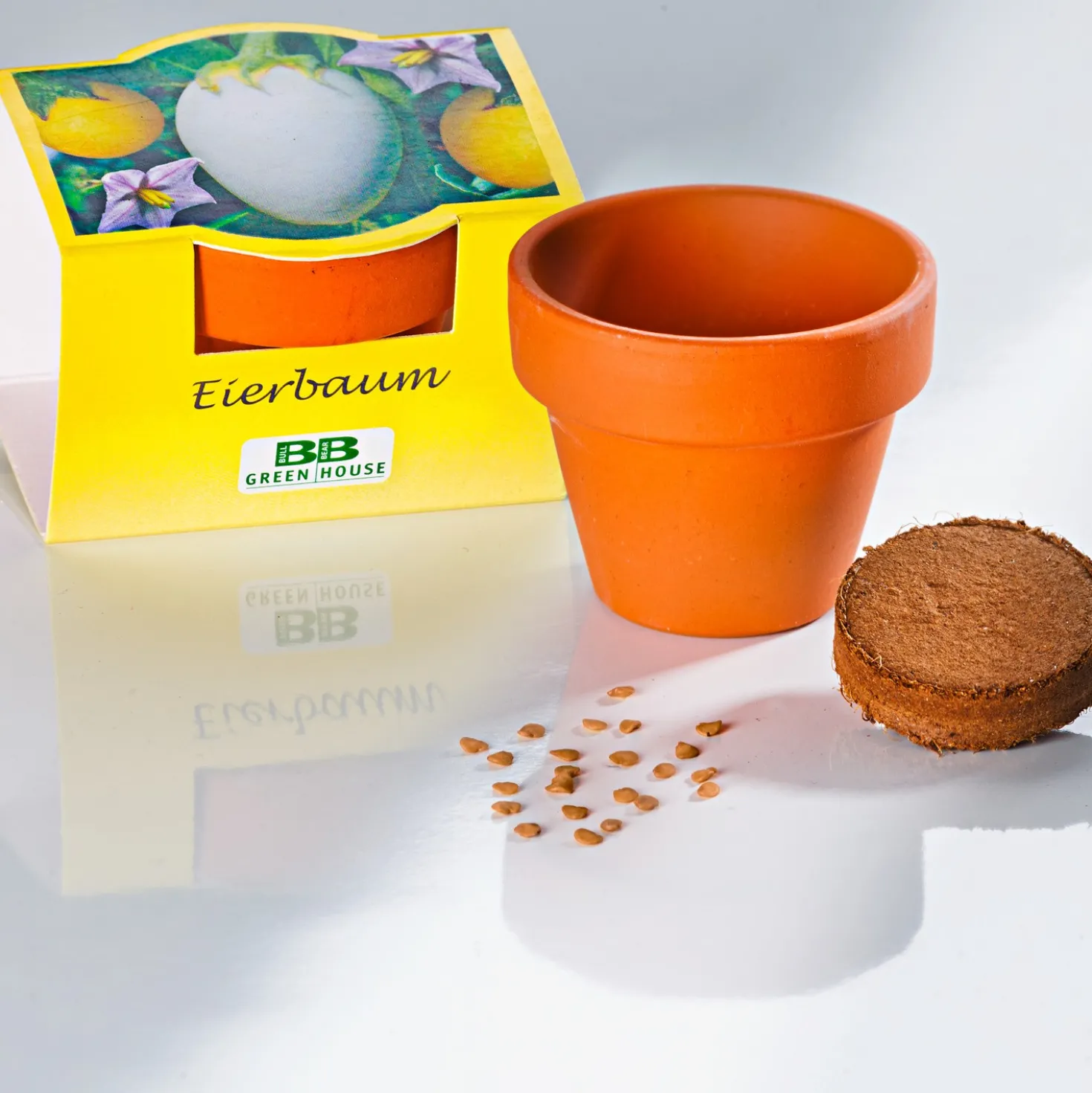 Pflanzset "Eierbaum"