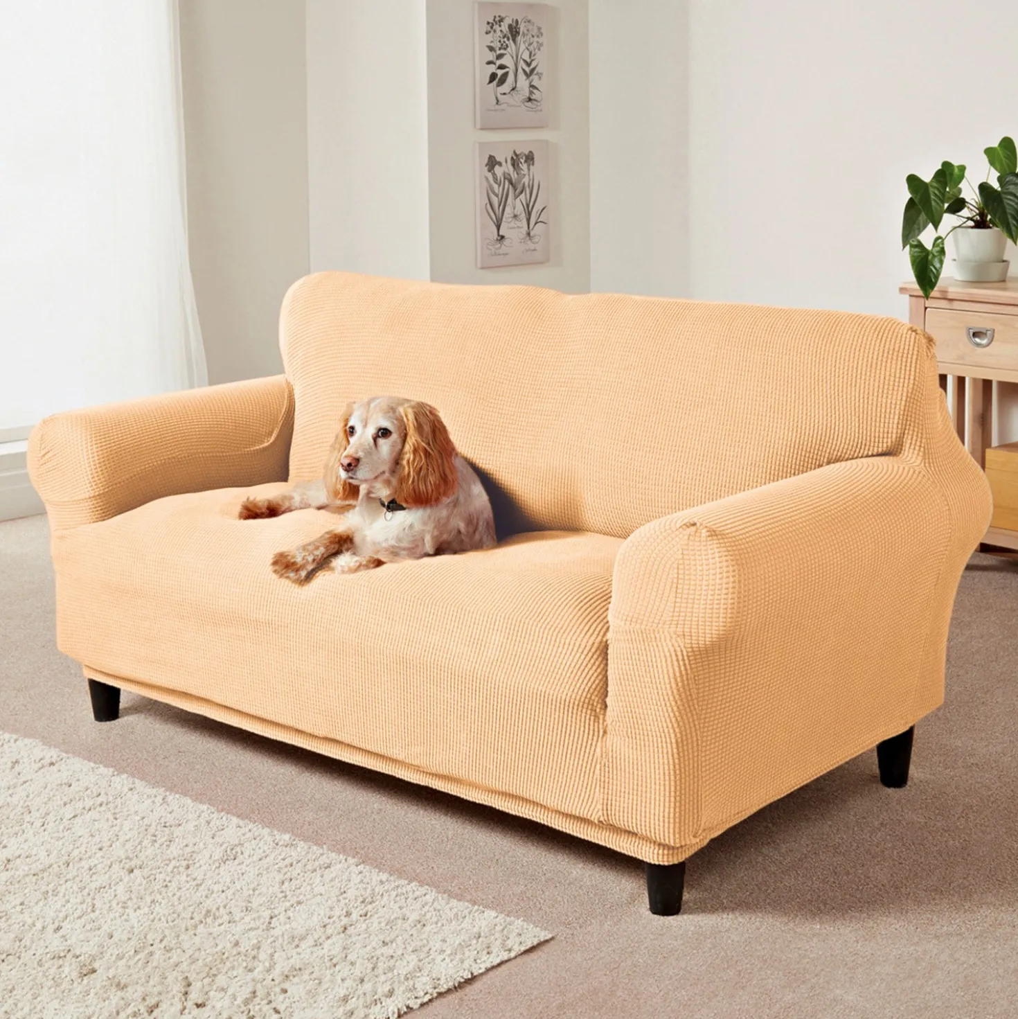 Sesselbezug beige Eldo