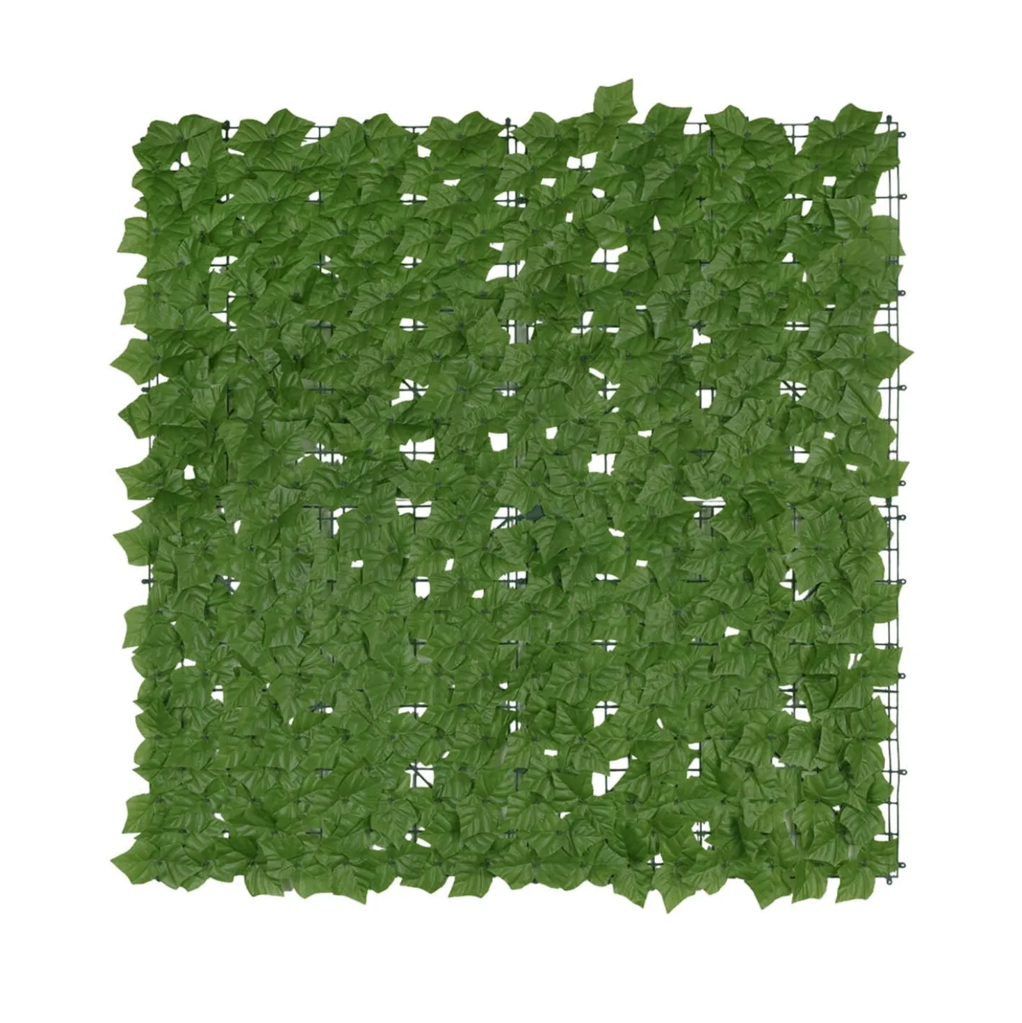 Sichtschutzmatte Efeu 3 x 1 m MAXIMEX