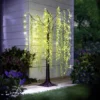Solar-Weidenbaum Gainsborough 1,5m