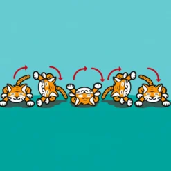 Spielzeugkatze 