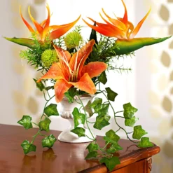 Strelitzia im Pokaltopf