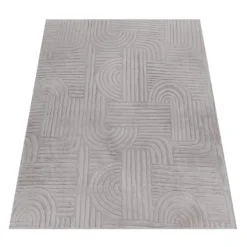 Teppich LELYSTAD 527 Grau Rechteckig Paco Home