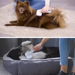 Tierhaarbürste mit Ionenfunktion Ion Brush PiddiPet Mediashop