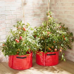 Tomaten-Pflanzgefäße 2er-Set Gainsborough