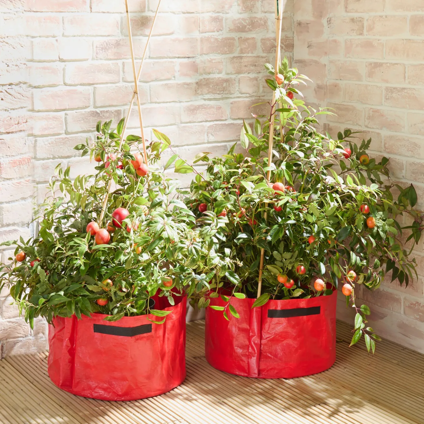 Tomaten-Pflanzgefäße 2er-Set Gainsborough