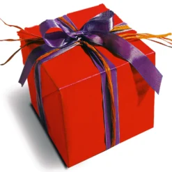 Weihnachts-Überraschungs-Paket